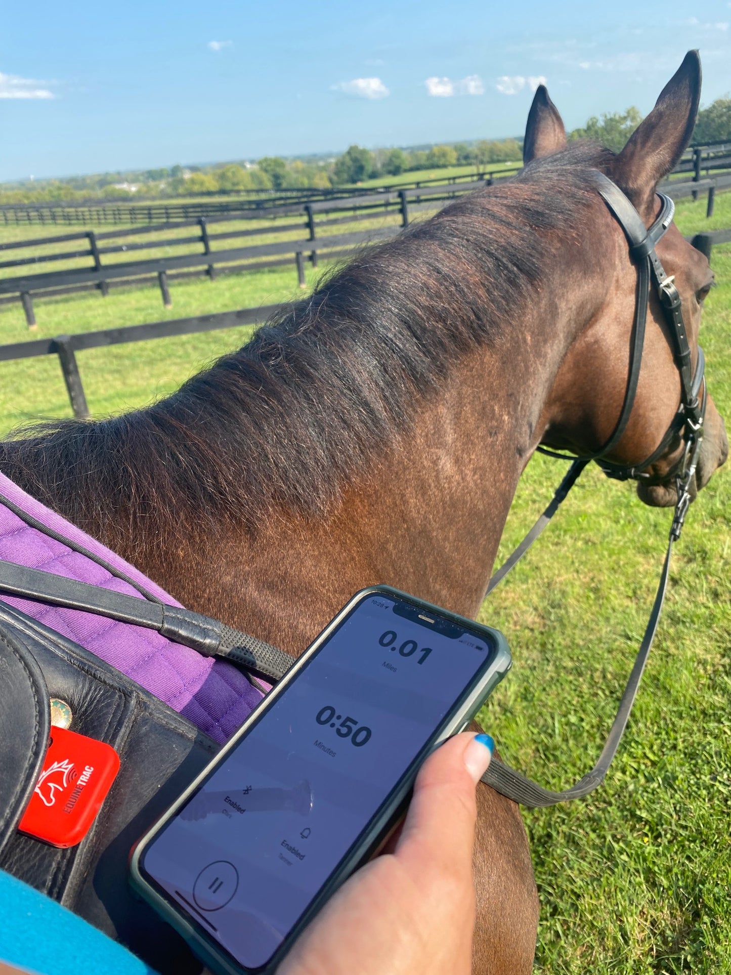 Sale! EquineTrac Wireless Smart Sensor for Fall Detection with Protective Case & Saddle Mount Clip